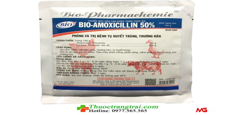 Cách chữa gà bị gãy cựa: Sử dụng thuốc kháng sinh