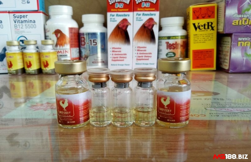 Nên dùng thuốc bổ để giúp gà chọi nhanh tăng cân