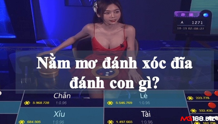 Nằm mơ đánh xóc đĩa đánh con gì nâng cao tỷ lệ trúng?