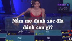 Nằm mơ đánh xóc đĩa đánh con gì chuẩn xác nhất?