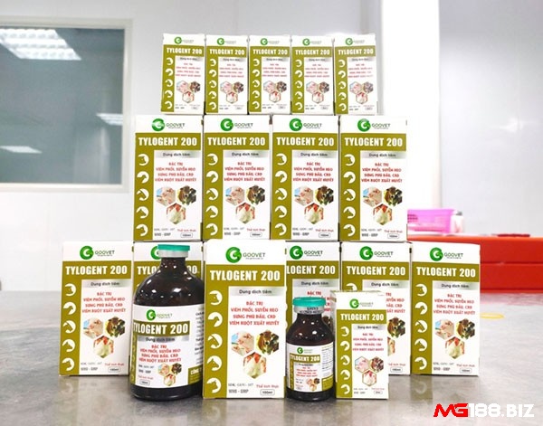 Thuốc tylogen 200 dùng cho gà khò khè rất hiệu quả