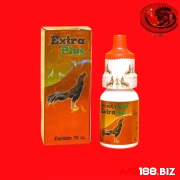 Cách chữa gà chọi bị khò khè bằng kháng sinh Hen đỏ rất hiệu quả