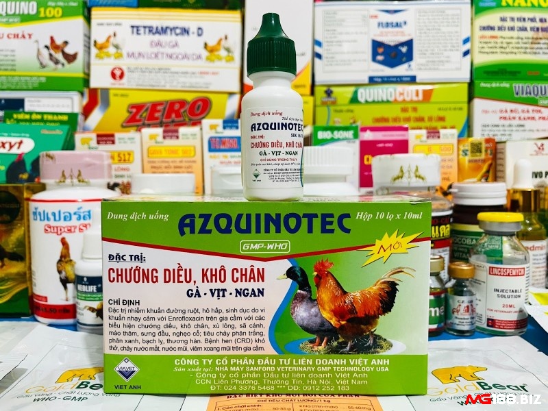 Cách chữa gà chọi gáy không ra tiếng là dùng Azquinotec với tần suất 10 giọt/ngày