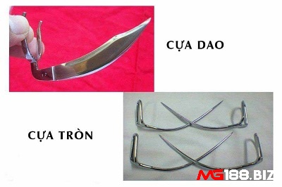 Cựa tròn và cựa dao là hai loại thông dụng nhất hiện nay