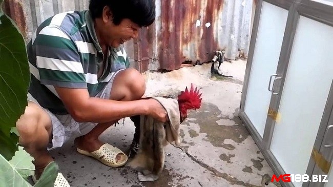 Để nài nước, cần chuẩn bị khăn màu trắng, hộp mỏ, kim chỉ