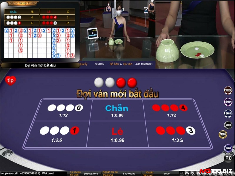 Bạn cần chú ý đến đến bản thống kê trên game xoc dia để đưa ra dự đoán chính xác