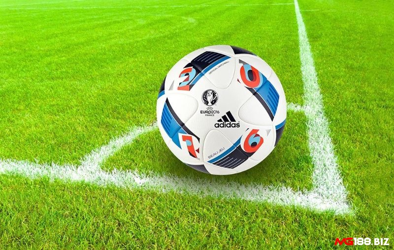 Người chơi chị nên đặt cược kèo 3 cửa khi biết rõ thông tin liên quan trận đấu
