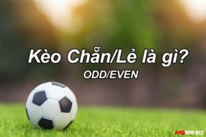 Kèo chẵn lẽ - Cách xem kèo bóng chuẩn nhất tại mg188