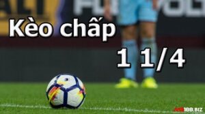 Kèo chấp 1 1/4 là gì? Kinh nghiệm bắt kèo chuẩn tới 99%