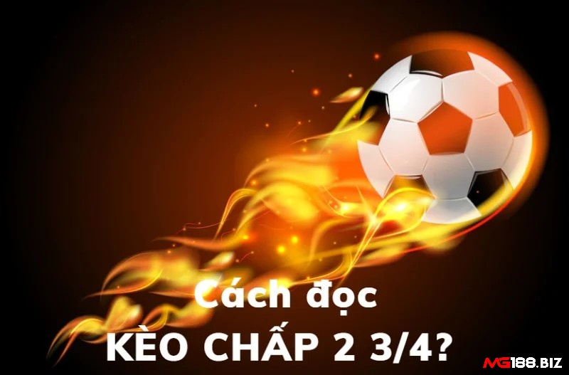 Cách đọc kèo 2 3/4 dành cho tân thủ