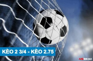 Kèo chấp 2 3/4 - MG188 hướng dẫn đọc kèo 2 3/4 chuẩn