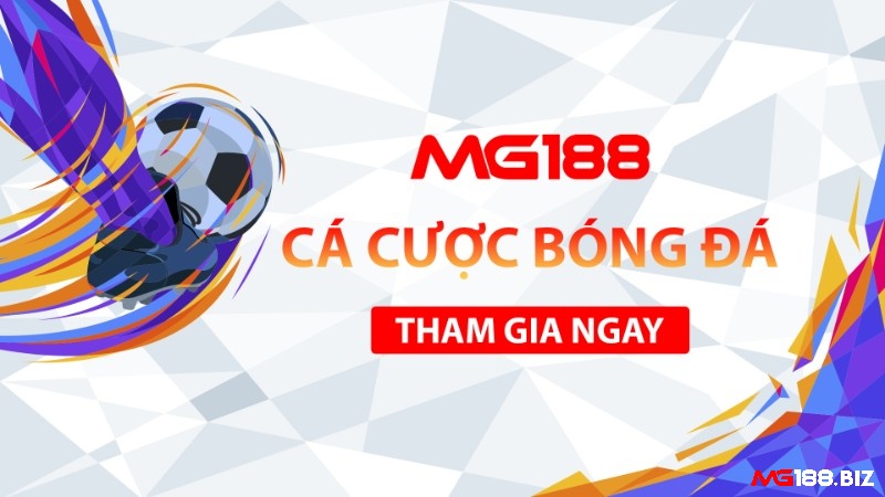 Cổng mg188 là nhà cái uy tín trên thị trường, chơi kèo tài xỉu 2 ½ cực yên tâm