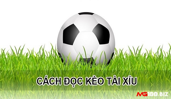 Cách đọc kèo tài xỉu 2 trái chi tiết