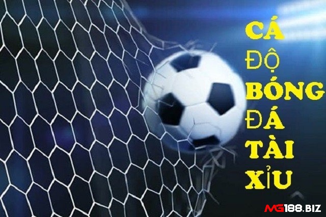 Chơi kèo tài xỉu tại mg188 uy tín