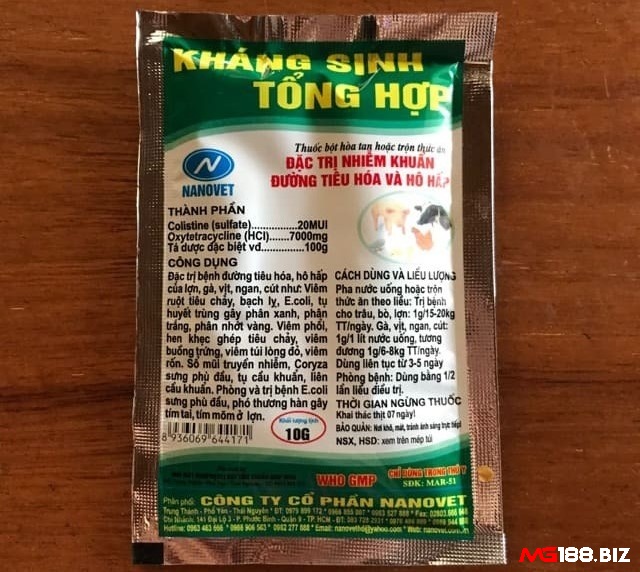 Kháng sinh tổng hợp giúp gà nhanh tan máu bầm, làm lành vết thương
