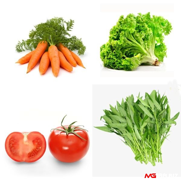 Các loại mồi cho gà đá sung mãn với nhóm thức ăn bổ dưỡng