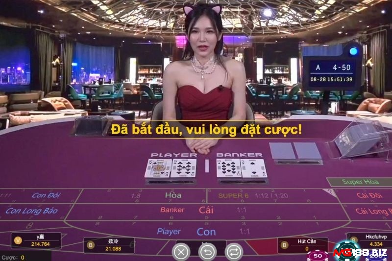 Theo cầu luôn thắng là phương pháp đa số người chơi Baccarat tin cậy