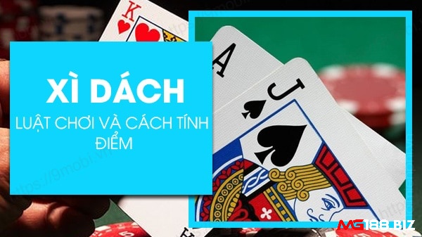 Hướng dẫn chi tiết về cách chơi và luật chơi xì dách cho người mới bắt đầu