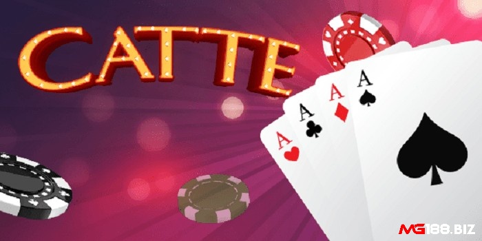 Game bài Catte không chỉ đơn giản mà còn mang lại trải nghiệm giải trí cao