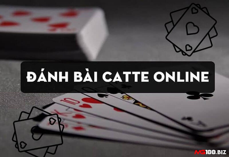Tổng quan về bài Catte Sáu Lá