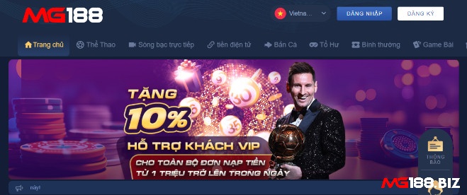 Đá gà là gì - Nhà cái MG188 cá độ đá gà trực tuyến uy tín