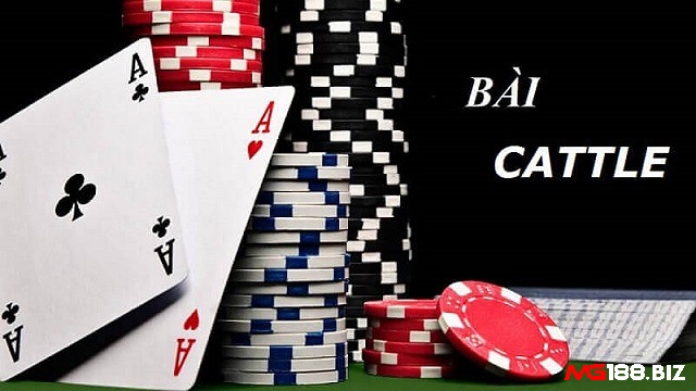 Tìm hiểu về bài cách tê