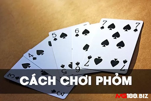 Cách danh phom cho người mới bắt đầu đơn giản, dễ hiểu