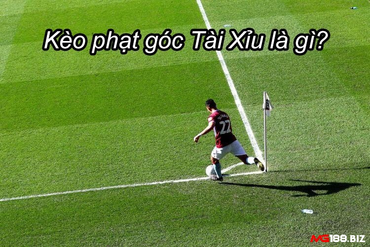 Kèo phạt góc dạng Tài Xỉu trong bóng đá là gì?