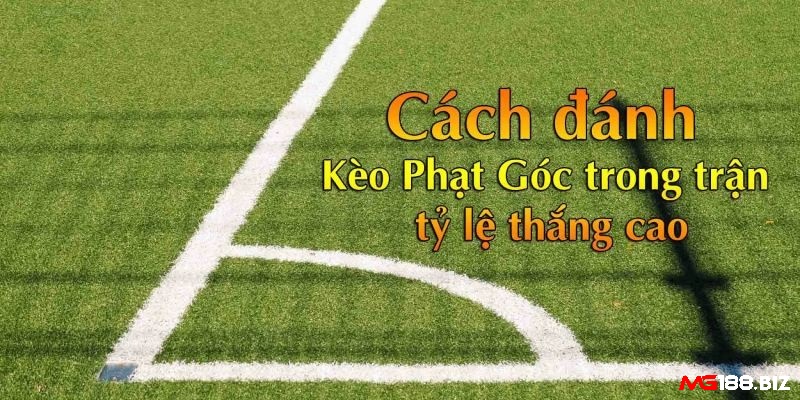 Kinh nghiệm bắt các loại kèo phạt góc để dễ win là gì?