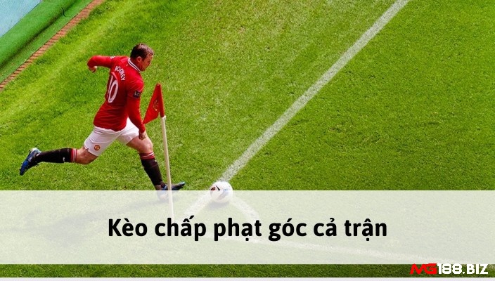 Cùng Mg188 tìm hiểu về kèo tài xỉu phạt góc toàn trận