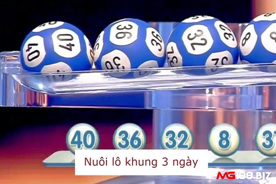 Lô nuôi khung 3 ngày đem lại hiệu quả cao
