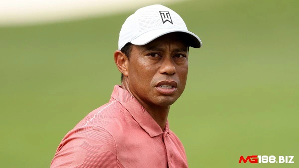 Vận động viên golf Tay golf Greg Norman