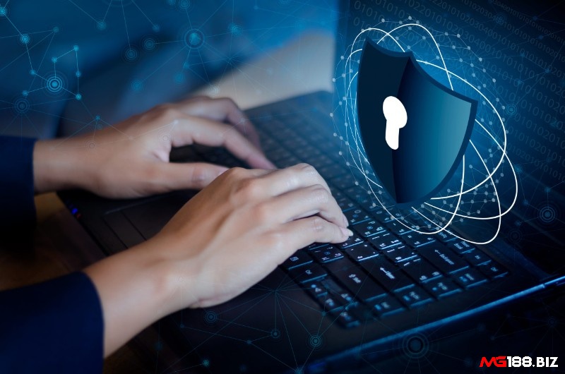 Cá cược tại web cược an toàn bảo mật