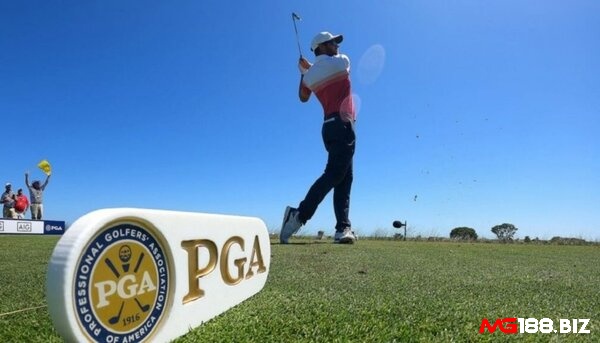 Các giải golf trên thế giới luôn nhận được đông đảo sự quan tâm