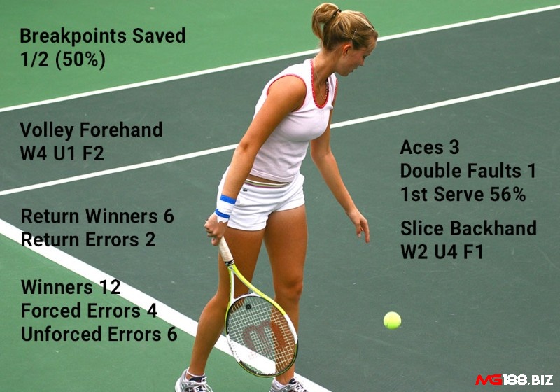 Khám phá những thuật ngữ trong tennis cơ bản nhất cho người mới