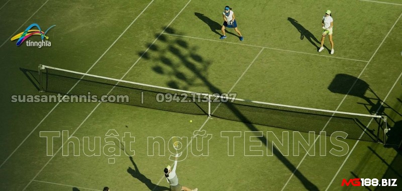 Tìm hiểu những thuật ngữ chuyên sâu trong tennis để hiểu về quy tắc tham gia trò chơi