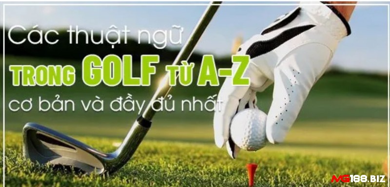 Thuật ngữ về golf và giải mã ý nghĩa chi tiết