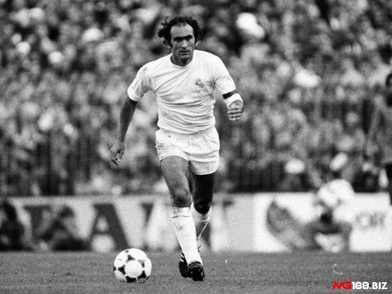 Đội hình xuất sắc nhất Real Madrid - Pirri