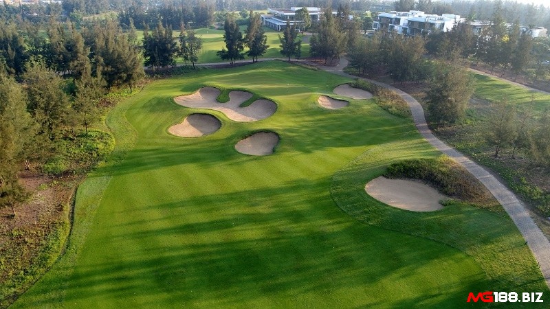 Montgomerie Links Việt Nam là một sân golf Đà Nẵng nổi tiếng