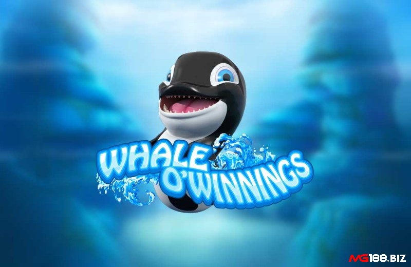 Cùng MG188 tìm hiểu chi tiết về Whale O Winnings nhé