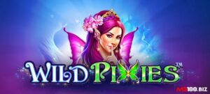 Wild Pixies - Game slot hấp dẫn, đặc sắc và thú vị trên cuộn