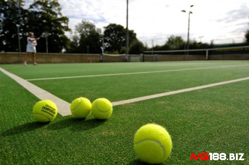 Các loại sân tennis cỏ nhanh nhất thì luôn thiên về lối chơi là giao bóng và vô lê