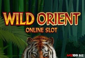 Wild Orient: Slot của Microgaming về thế giới tự nhiên hoang dã