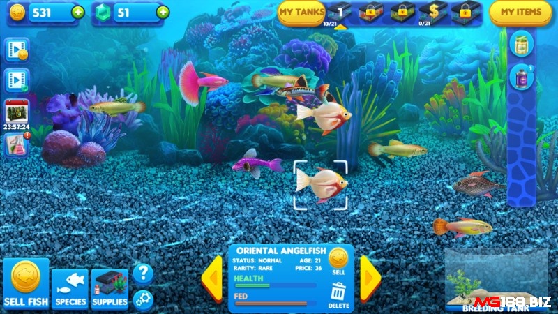 Giao diện game bắn cá Tycoon