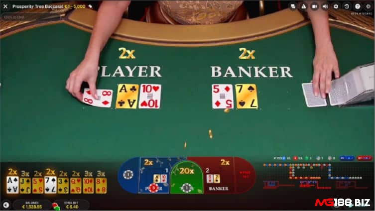 Những dạng cược cơ bản trong baccarat