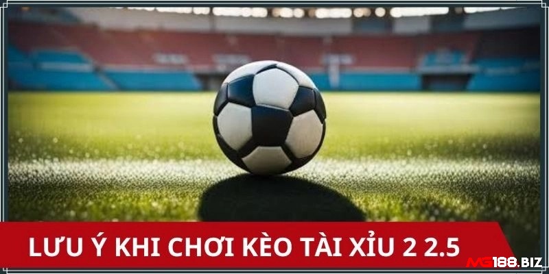 Kinh nghiệm nghiên cứu thông tin, quản lý vốn và theo dõi biến động kèo tài xỉu 2-2.5 là gì