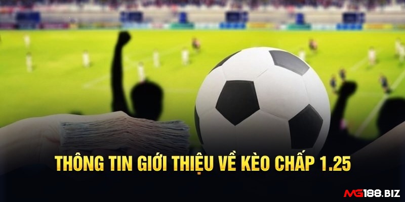 Xác định chính xác cửa trên và cửa dưới là bước quan trọng để tránh tính sai lệch kết quả cược