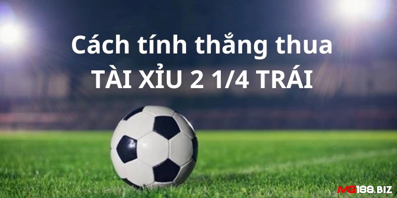 Các thắc mắc phổ biến được tổng hợp để người chơi dễ tiếp cận và hiểu đúng về kèo tài xỉu 2 trái 3 4.