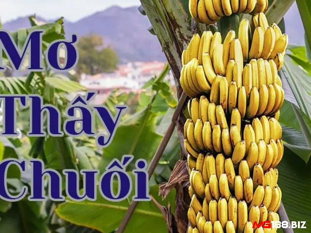 Hình ảnh quả chuối trong mơ mang tới điềm báo tâm linh thú vị