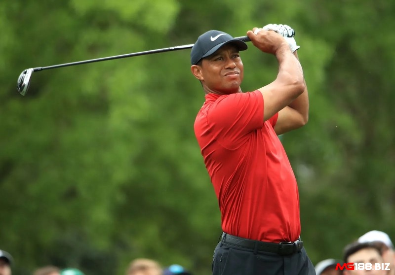 Tiger Woods vận động viên golf giàu nhất thế giới